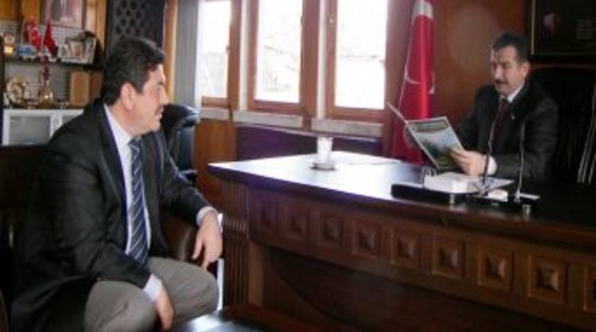 Sarıulak Zeytini I&ccedil;in Patent Hazırlıkları Tamamlandı