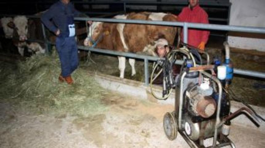 Kars'ta &Ccedil;iğ S&uuml;te Destek &Ouml;demesi Yapılacak