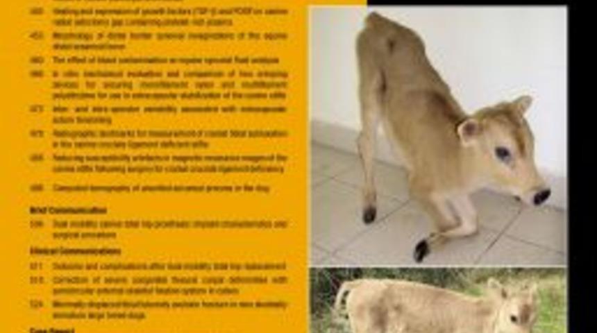 OM&Uuml;&rsquo;l&uuml; Bilim Adamı 'En Başarılı Gen&ccedil; Araştırmacı &Ouml;d&uuml;l&uuml;' Aldı