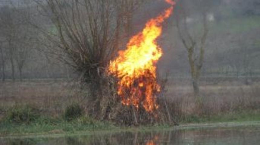 8 Adet G&uuml;me Yakılarak İmha Edildi