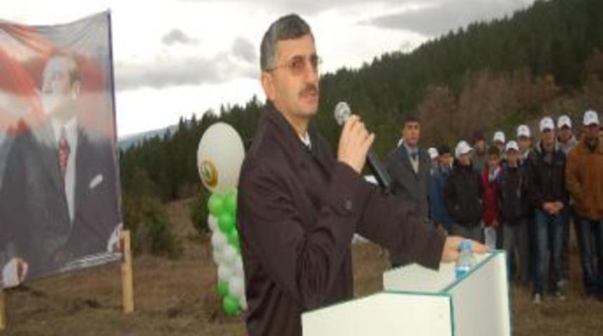 Ara&ccedil;&rsquo;a Fidan Dikildi