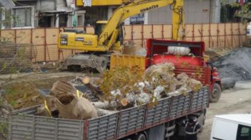 Taksim&rsquo;deki Ağa&ccedil;lar S&ouml;k&uuml;ld&uuml;