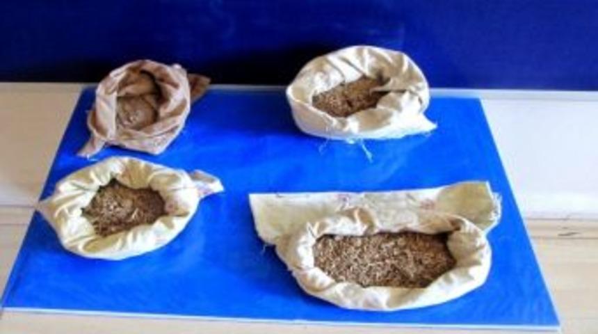 Montun Astarının İ&ccedil;inden Uyuşturucu Madde &Ccedil;ıktı