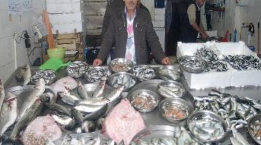 Giresun'da Havaların Olumsuz Seyretmesi Hamsi Fiyatını Artırdı