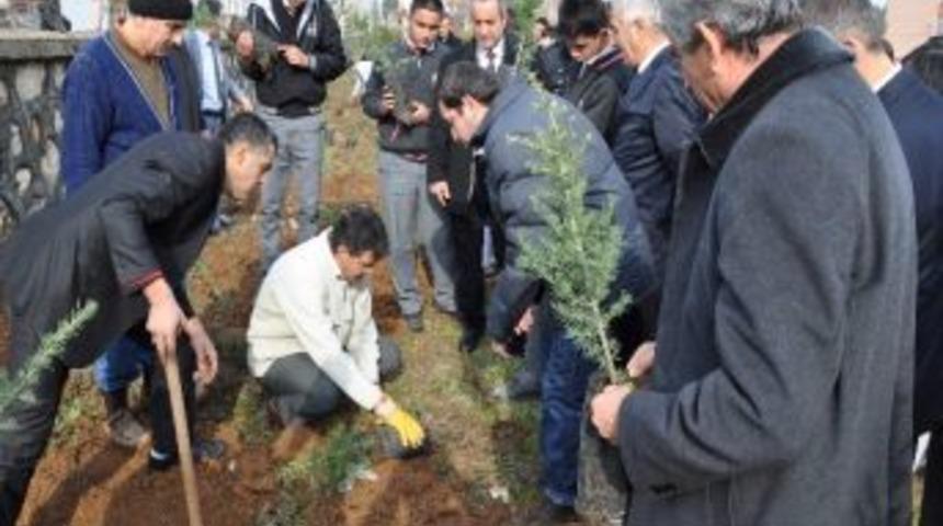 Okullar Fidan Dikimi İle Hayat Buluyor