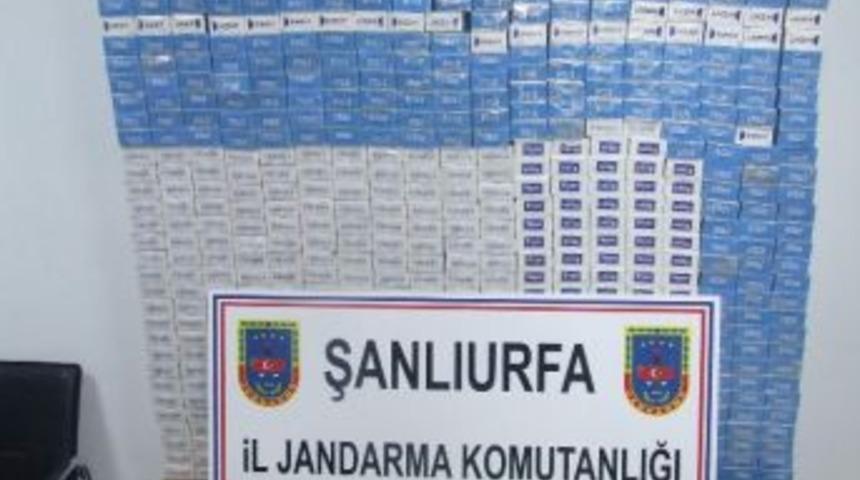 Şanlıurfa'da Jandarma Faaliyetleri