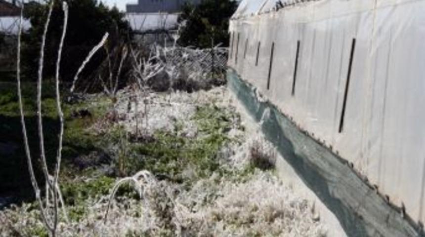 Aydın&rsquo;a Don Uyarısı