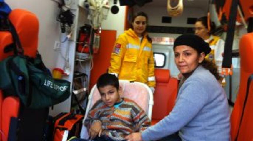 Yürüyemeyen Şahin'e Kimse Yok Mu Sahip Çıktı