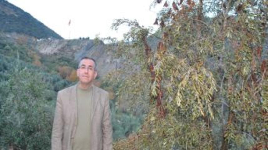 S&ouml;keli Yatırımcı İsyan Etti