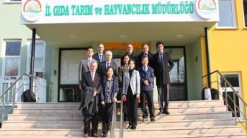 G&uuml;ney Kore Tarım Bakanlığı Heyeti Bursa'da Incelemelerde Bulundu