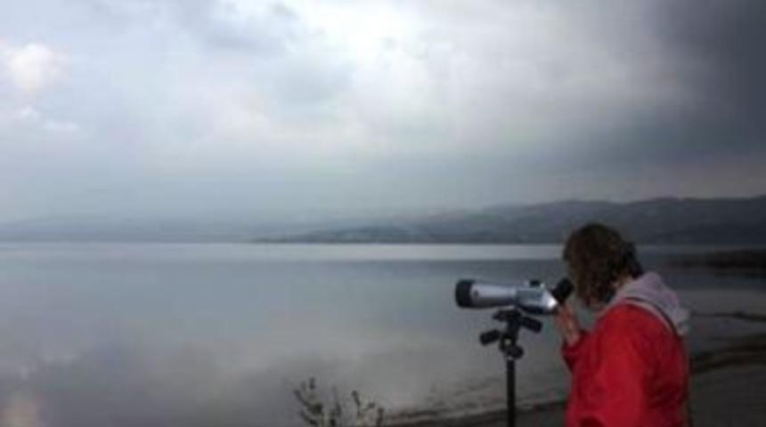 Sapanca G&ouml;l&uuml;&rsquo;nde Kuş G&ouml;zlemi Yapıldı