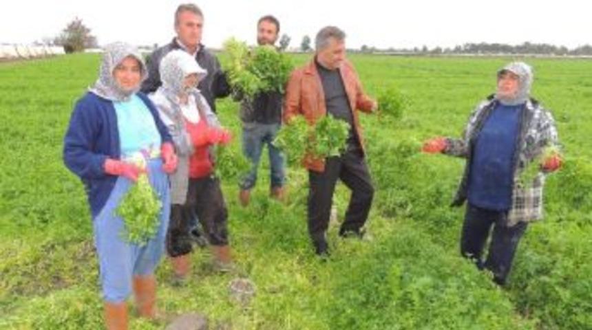 Chp İl Başkanı Akar &Ccedil;ift&ccedil;i Ve İş&ccedil;ilerle Bir Araya Geldi