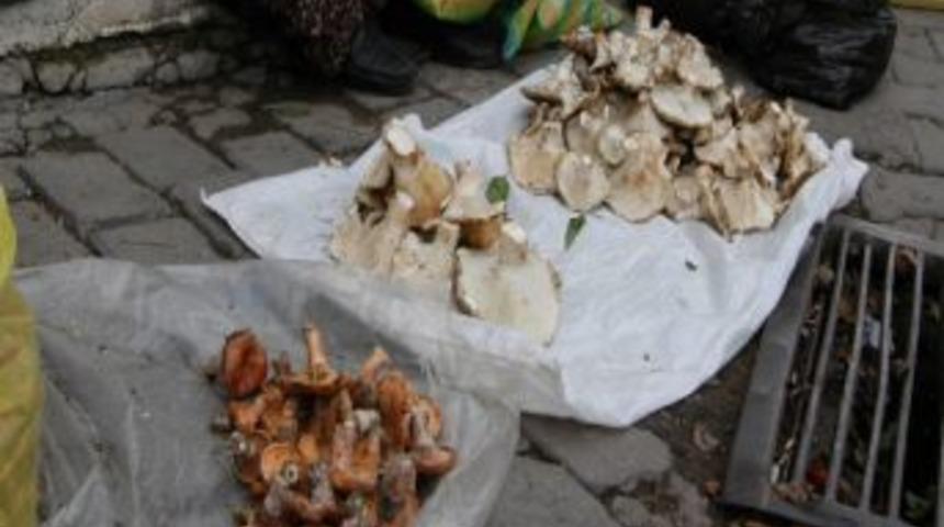 Mantarın Zehri Yok Edilemiyor