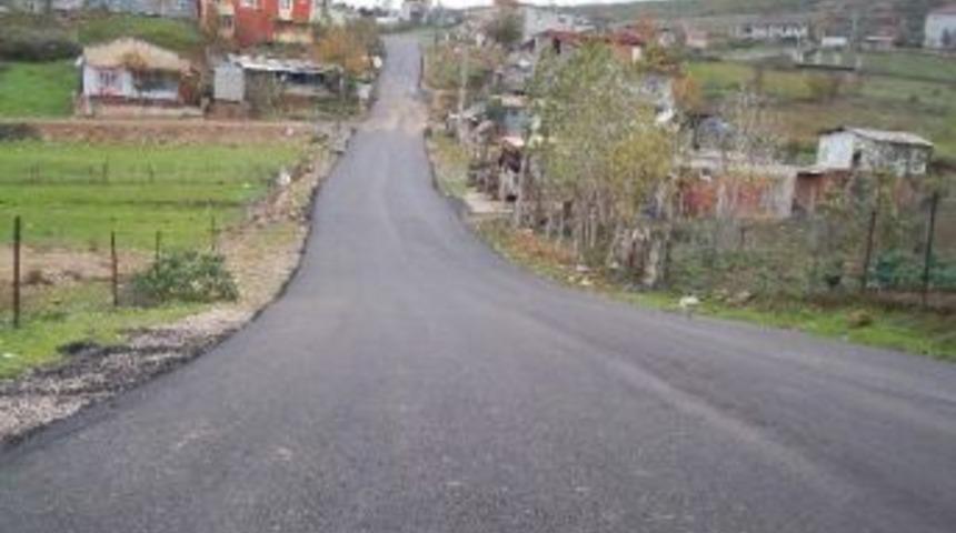 Alikahya Hizmete Doydu