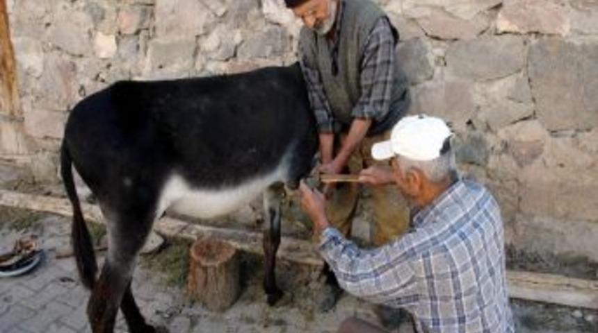 Nalbantlar &Ccedil;ıraksız Kaldı