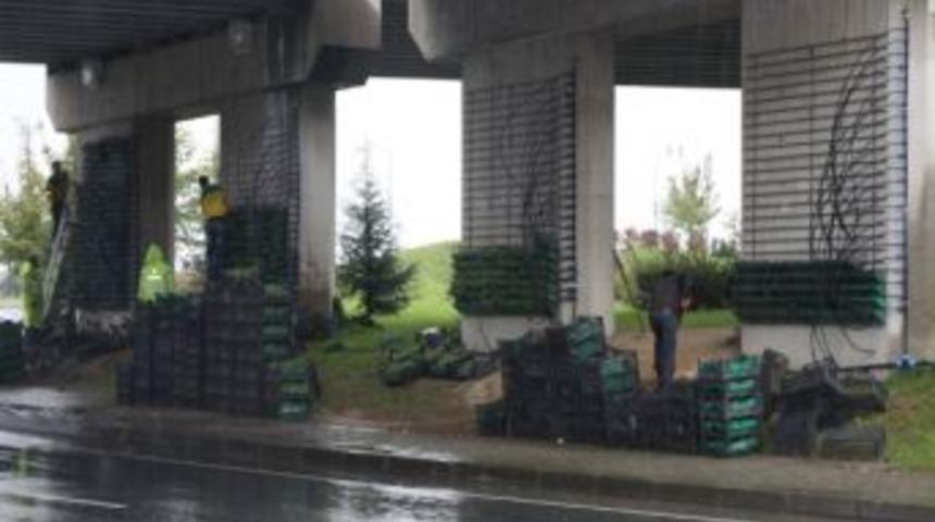 Rize&rsquo;de Duvarlar &Ccedil;i&ccedil;ek A&ccedil;ıyor