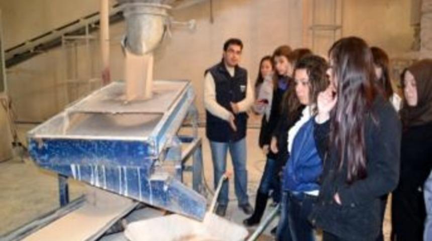 &Uuml;niversite &Ouml;ğrencileri Pera Seramik Fabrikalarını Gezdi