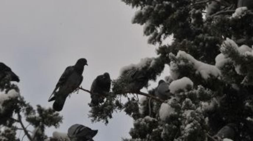 &Ccedil;orum'da Kar Yağışı Etkili Oluyor