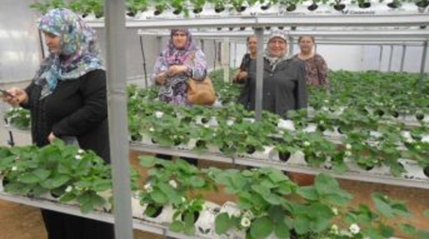 &Ccedil;anakkaleli Kadın &Ccedil;ift&ccedil;iler Antalya&rsquo;da