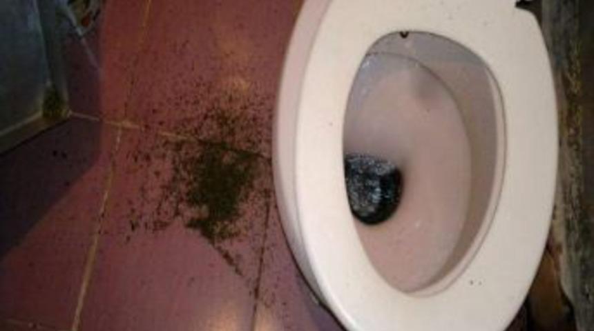 66'lık Nine Uyuşturucu Ticaretinden Yakalandı