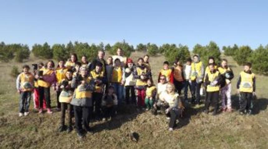 Malkara’ Da 4 Bin Fidan Toprakla Buluştu