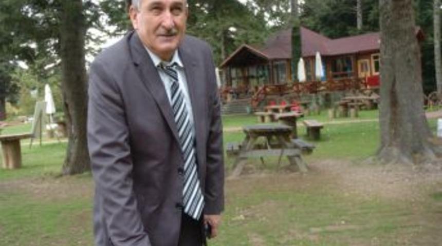 Bolu'da 6 Bin Ton Atık Kağıtla 102 Bin Ağa&ccedil; Kurtarıldı