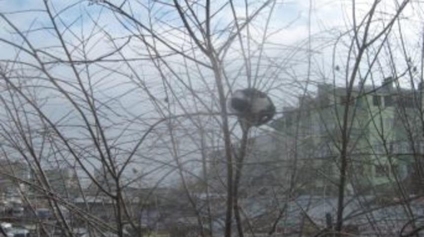 Kedi i&ccedil;in taksiciler seferber oldu