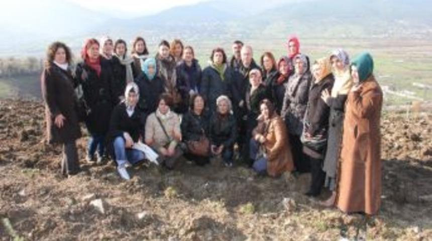 Ak Parti Kadın Kollarından Fidan Dikimi