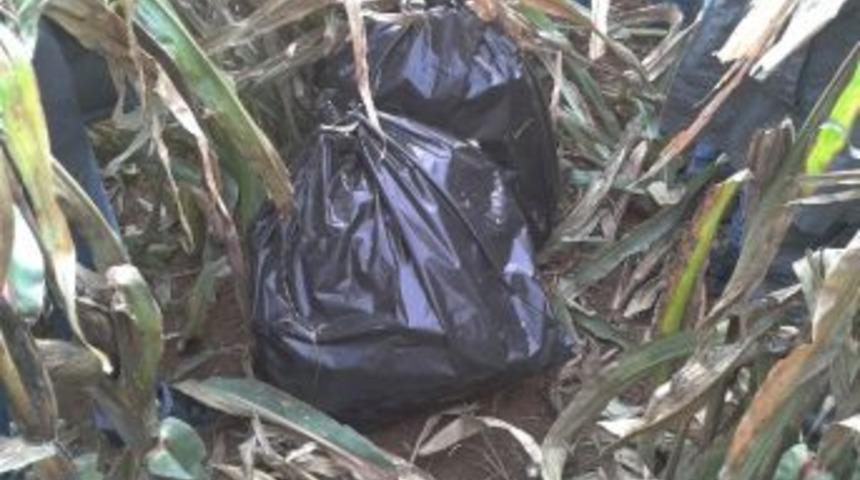 Suriye Uyruklu Şahısta 11 Kilogram Esrar Yakalandı