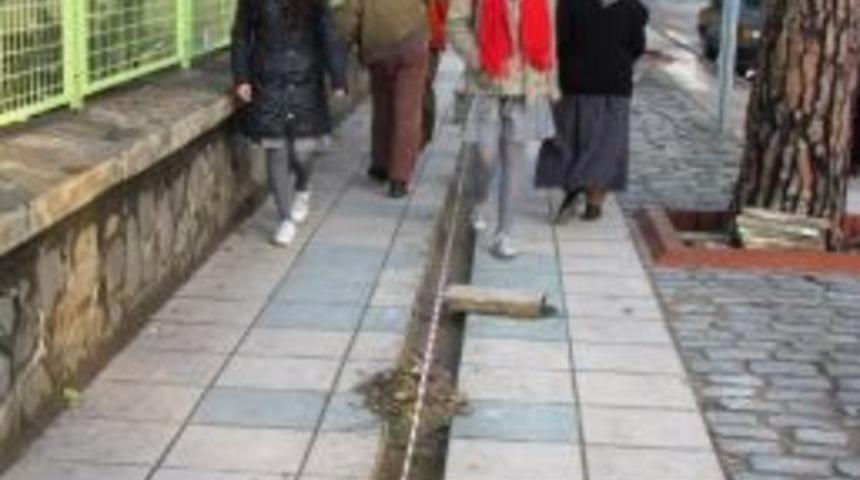 &Ouml;demiş Belediyesi Ve Sağlık Y&uuml;ksek Okulu&rsquo;ndan &Ouml;rnek Proje