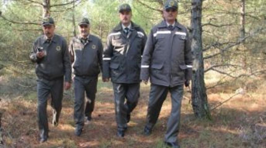 Noel &Ccedil;amı &Ccedil;alanlara 5 Yıla Kadar Hapis