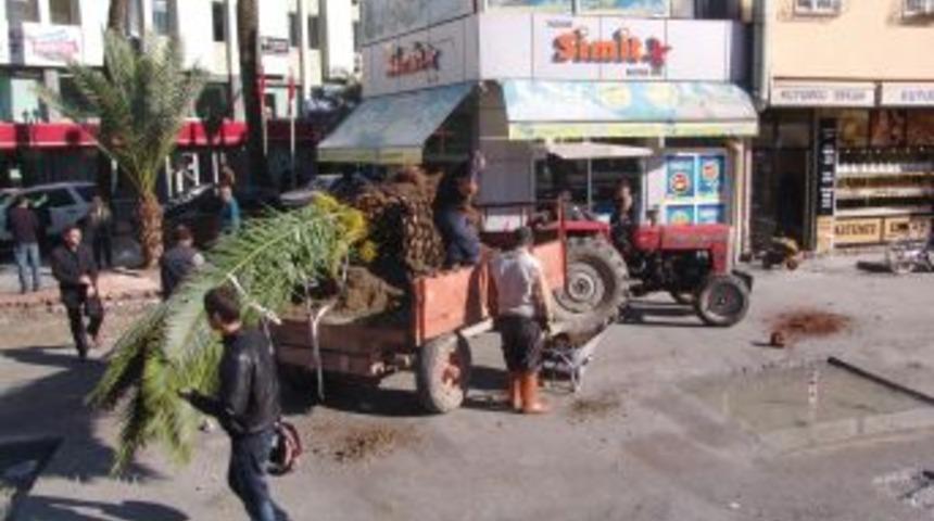 Tarsus'ta Park D&uuml;zenlemesi Yapılıyor
