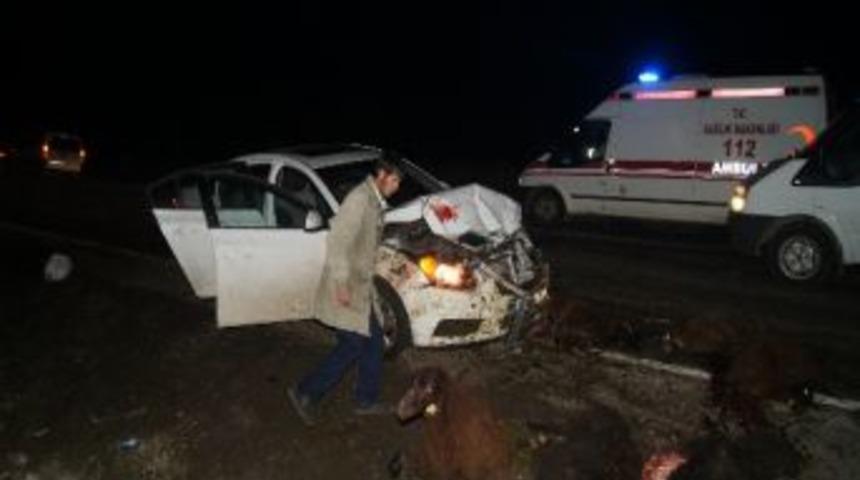 Otomobil Koyun S&uuml;r&uuml;s&uuml;ne Daldı