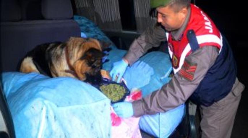 Adana'da 155 Kilo Esrar Ele Ge&ccedil;irildi