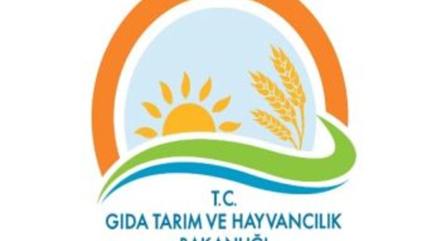 Düzce’de Tarım Yatırımı Yapmak İçin 10 Neden