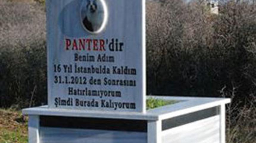 &Ouml;len kedisi i&ccedil;in tarla alıp, mezar yaptırdı