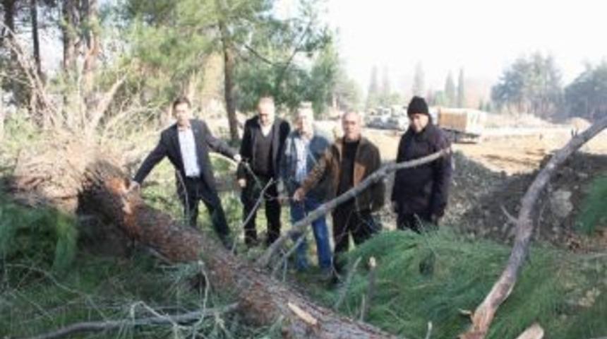 Denizli&rsquo;de Ağa&ccedil;ların Kesilmesine Chp&rsquo;den Tepki