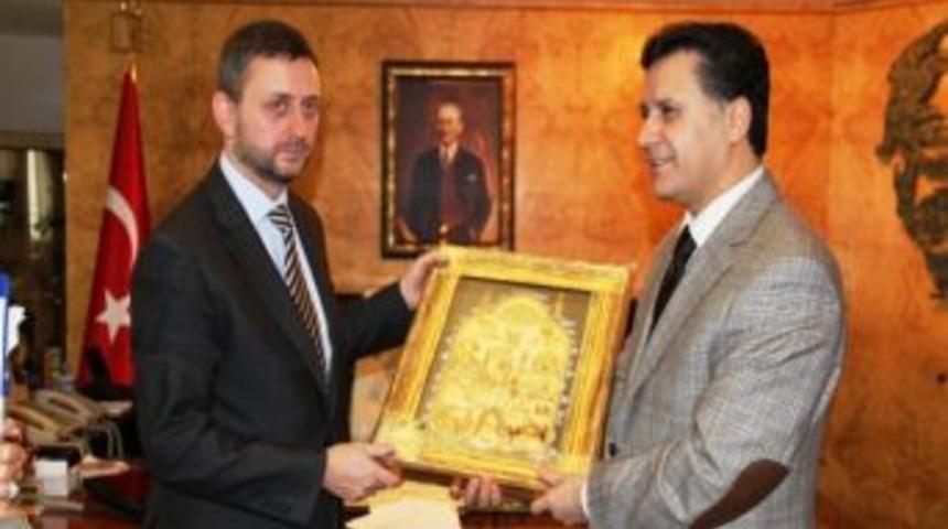 Ab Delegasyonu Siyasi İşler, Basın Ve Enformasyon B&ouml;l&uuml;m Başkanı Mardin&rsquo;de