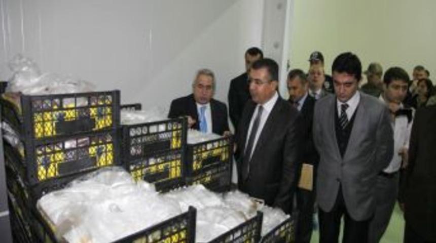 Hatay Valisi Lekesiz Muz Hasadı Yaptı