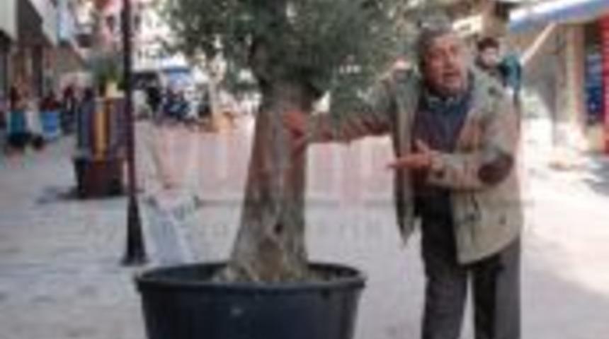 Vatandaş sevgi yolundaki ağa&ccedil;lara tepkili