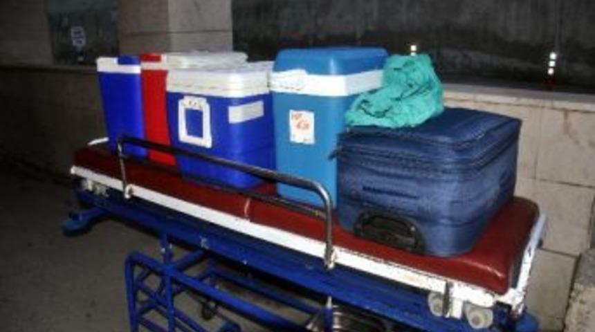 Balıkesir-bursa Hattında Organ Nakli Heyecanı