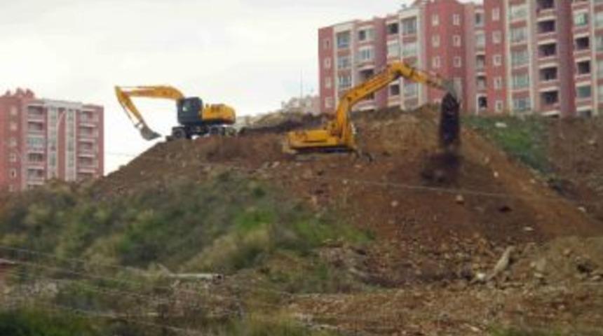 Kocaeli'de Her Yere Fidan Dikiliyor