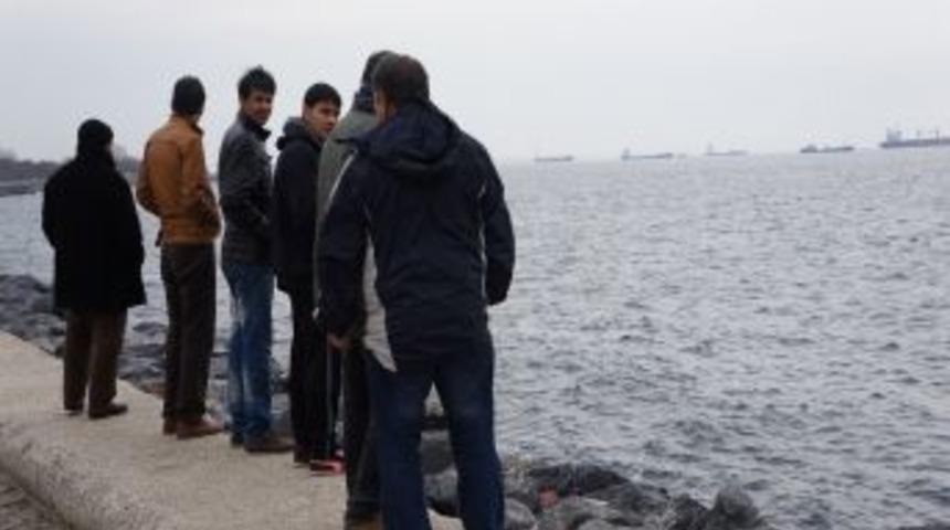 &Ouml;len Yunuslar Kıyıya Vurdu