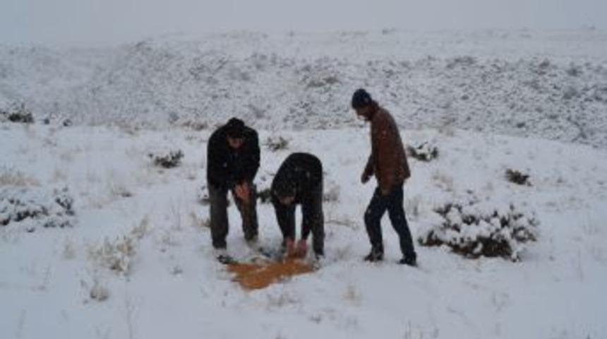 Iğdır'da Hayvanların Aç Kalmaması Için Doğaya Yem Bırakıldı