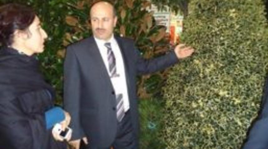 T&uuml;rkyılmaz, "flower Show T&uuml;rkiye&rsquo;de"