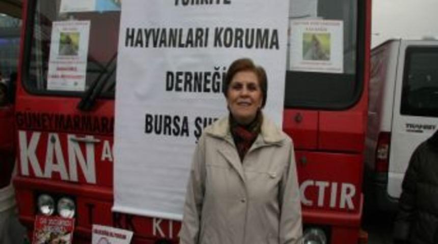 Hayvanseverlerden Kan Bağışı