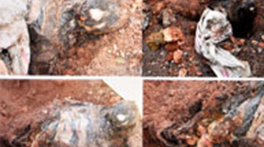 &Ccedil;&uuml;r&uuml;m&uuml;ş ceset i&ccedil;in ince &ccedil;alışma