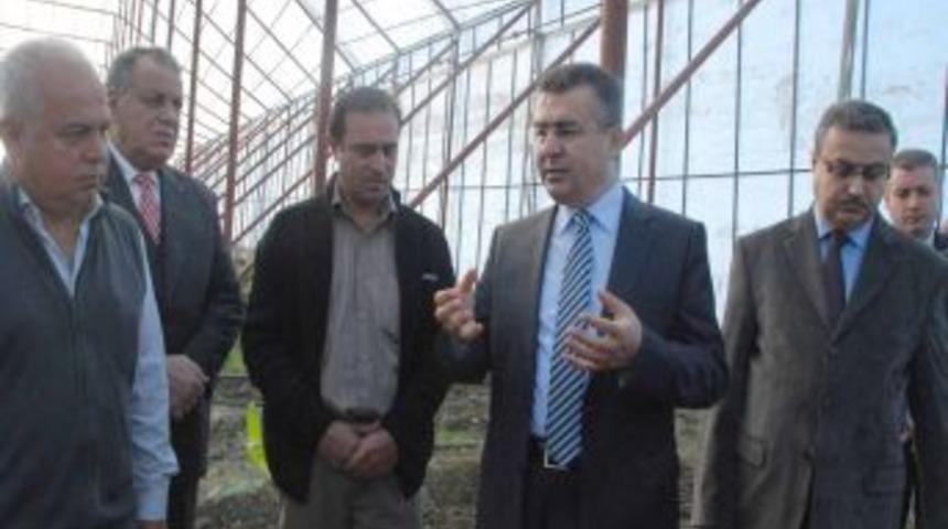 Vali Lekesiz, Muz Seralarını Gezdi