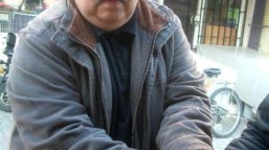 Amerikan Cevizi İlgi G&ouml;r&uuml;yor