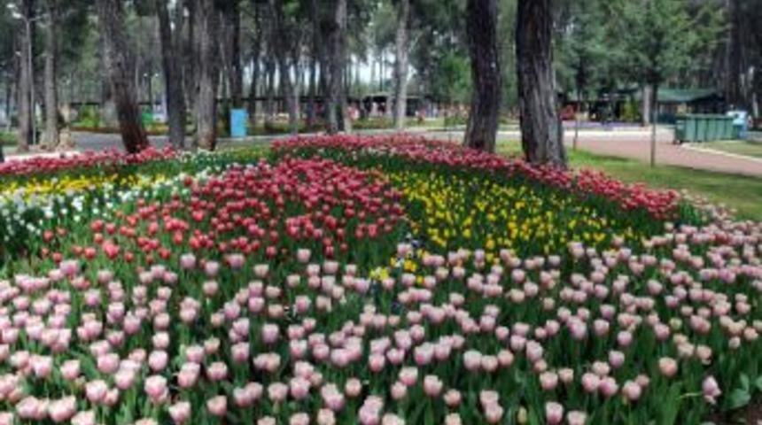 Kepez Belediyesi 1 Milyon Metrekare Alanı Yeşillendirdi